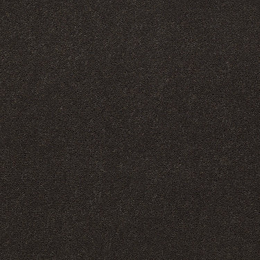 Emphatic Ii 36 Residential Carpet by Philadelphia Commercial in the color Brocade. Sample of browns carpet pattern and texture.