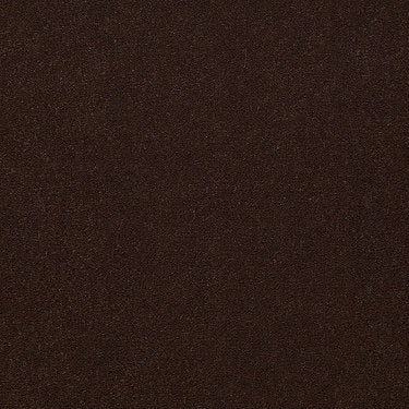 Emphatic Ii 36 Residential Carpet by Philadelphia Commercial in the color Hazelnut. Sample of browns carpet pattern and texture.