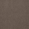 Emphatic Ii 36 Residential Carpet by Philadelphia Commercial in the color Smokey. Sample of browns carpet pattern and texture.