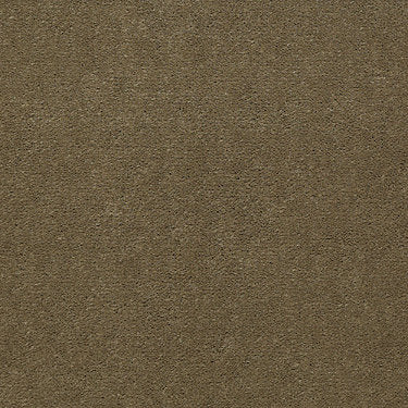 Emphatic Ii 36 Residential Carpet by Philadelphia Commercial in the color Olive Twist. Sample of browns carpet pattern and texture.