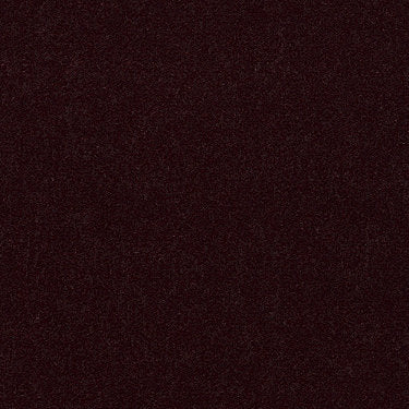 Emphatic Ii 36 Residential Carpet by Philadelphia Commercial in the color Plum Cordial. Sample of reds carpet pattern and texture.