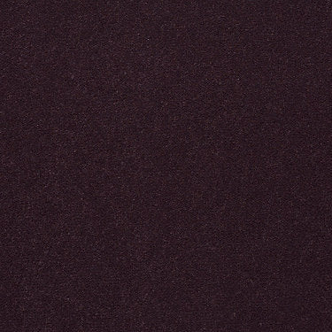 Emphatic Ii 36 Residential Carpet by Philadelphia Commercial in the color Perfect Plum. Sample of violets carpet pattern and texture.