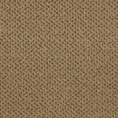 Legend Falls Commercial Carpet by Philadelphia Commercial in the color Morning Dew. Sample of beiges carpet pattern and texture.