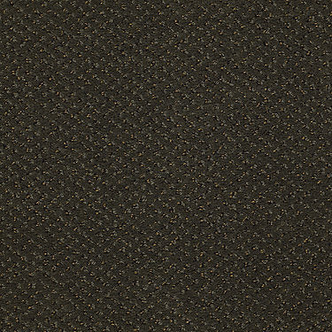 Legend Falls Commercial Carpet by Philadelphia Commercial in the color River Oaks. Sample of greens carpet pattern and texture.