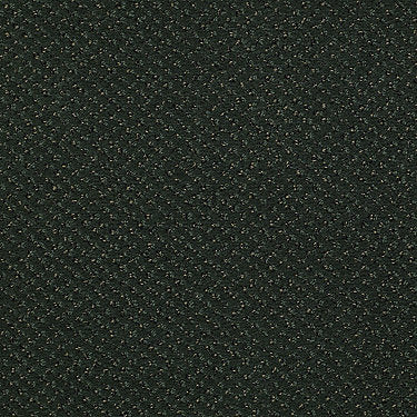 Legend Falls Commercial Carpet by Philadelphia Commercial in the color Pine Haven. Sample of greens carpet pattern and texture.