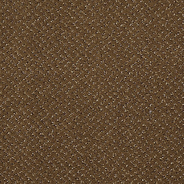 Legend Falls Commercial Carpet by Philadelphia Commercial in the color Fort Mountain. Sample of browns carpet pattern and texture.