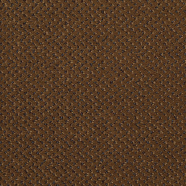 Legend Falls Commercial Carpet by Philadelphia Commercial in the color Dakota. Sample of browns carpet pattern and texture.
