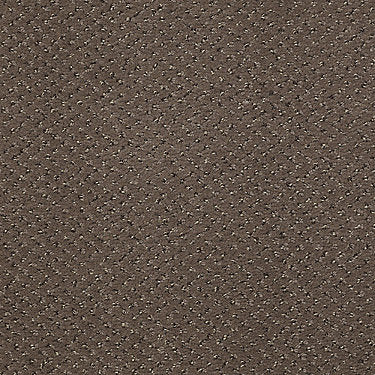 Legend Falls Commercial Carpet by Philadelphia Commercial in the color Riverbed. Sample of browns carpet pattern and texture.
