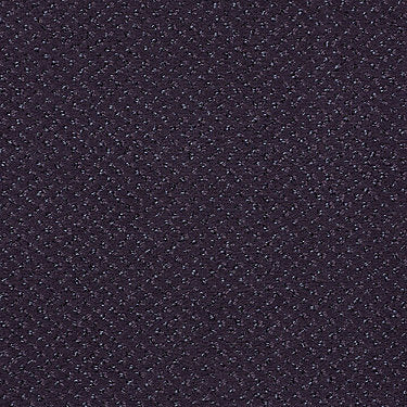 Legend Falls Commercial Carpet by Philadelphia Commercial in the color Mystic Creek. Sample of violets carpet pattern and texture.