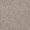 Vocation Iii 26 Commercial Carpet by Philadelphia Commercial in the color Career Path. Sample of beiges carpet pattern and texture.