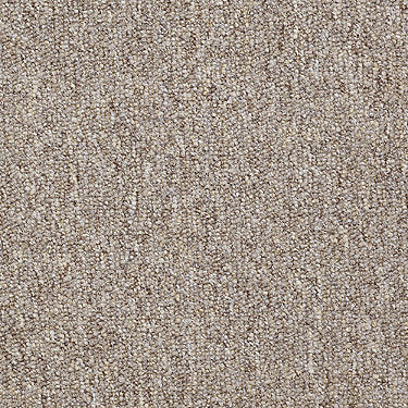 Vocation Iii 26 Commercial Carpet by Philadelphia Commercial in the color Career Path. Sample of beiges carpet pattern and texture.