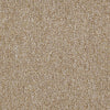 Vocation Iii 26 Commercial Carpet by Philadelphia Commercial in the color Professional. Sample of browns carpet pattern and texture.