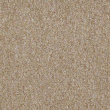 Vocation Iii 26 Commercial Carpet by Philadelphia Commercial in the color Professional. Sample of browns carpet pattern and texture.