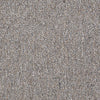 Vocation Iii 26 Unitary Commercial Carpet by Philadelphia Commercial in the color Management. Sample of beiges carpet pattern and texture.