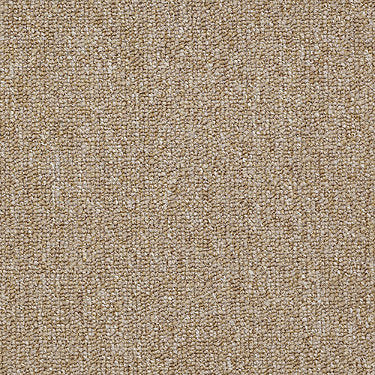 Vocation Iii 26 Unitary Commercial Carpet by Philadelphia Commercial in the color Professional. Sample of browns carpet pattern and texture.