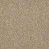 Vocation Iii 28 Commercial Carpet by Philadelphia Commercial in the color Professional. Sample of browns carpet pattern and texture.