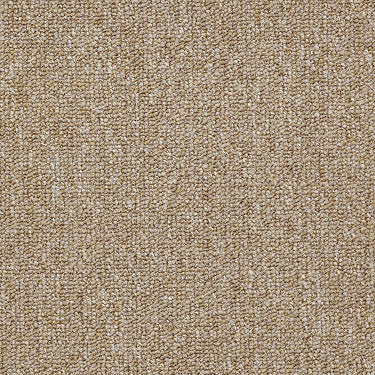 Vocation Iii 28 Commercial Carpet by Philadelphia Commercial in the color Professional. Sample of browns carpet pattern and texture.