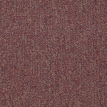 Vocation Iii 28 Commercial Carpet by Philadelphia Commercial in the color Business Park. Sample of reds carpet pattern and texture.