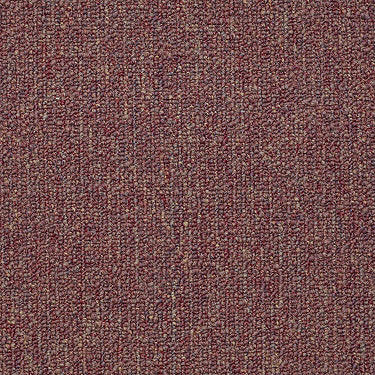 Vocation Iii 28 Commercial Carpet by Philadelphia Commercial in the color Business Park. Sample of reds carpet pattern and texture.