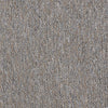 Vocation Iii 28 Unitary Commercial Carpet by Philadelphia Commercial in the color Management. Sample of beiges carpet pattern and texture.