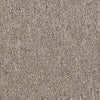 Vocation Iii 28 Unitary Commercial Carpet by Philadelphia Commercial in the color Career Path. Sample of beiges carpet pattern and texture.