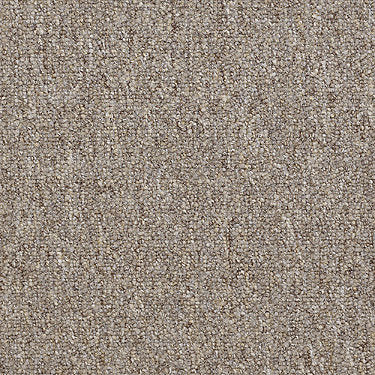 Vocation Iii 28 Unitary Commercial Carpet by Philadelphia Commercial in the color Career Path. Sample of beiges carpet pattern and texture.