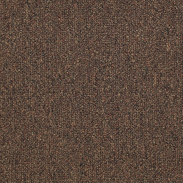Vocation Iii 28 Unitary Commercial Carpet by Philadelphia Commercial in the color Fast Track. Sample of browns carpet pattern and texture.