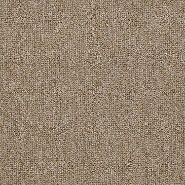 Vocation Iii 28 Unitary Commercial Carpet by Philadelphia Commercial in the color Professional. Sample of browns carpet pattern and texture.