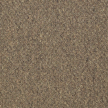 Capital Iii Bl Commercial Carpet by Philadelphia Commercial in the color Election. Sample of golds carpet pattern and texture.