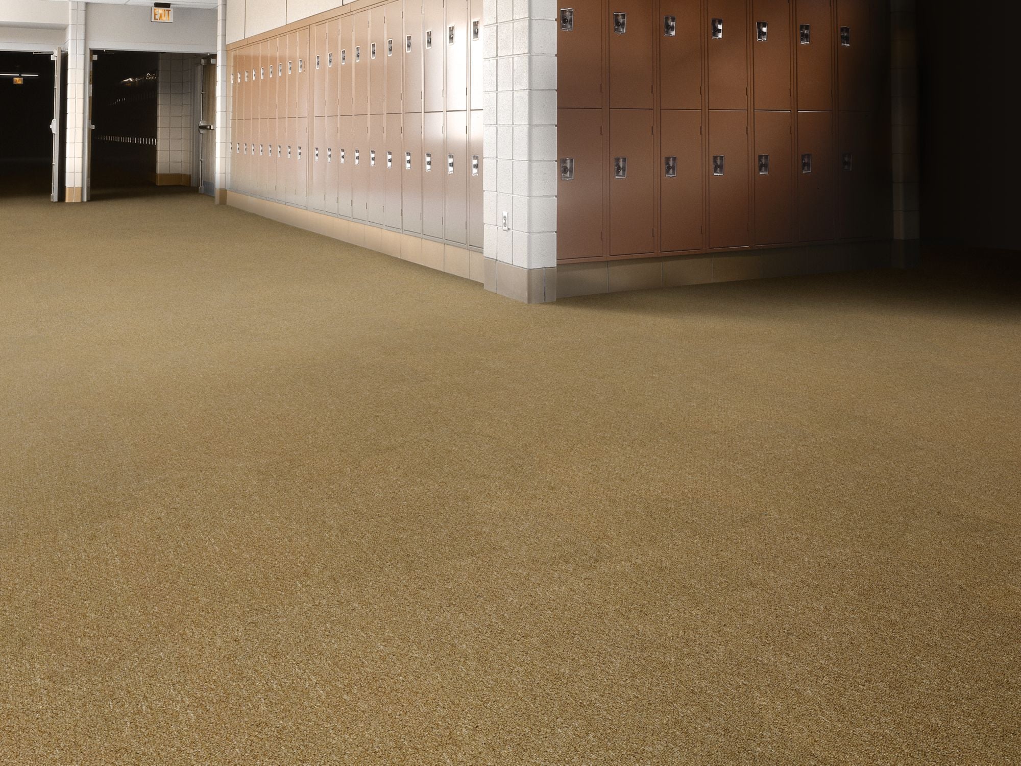 Capital Iii Bl Commercial Carpet by Philadelphia Commercial in the color Election. Image of golds carpet in a room.
