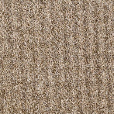 Capital Iii Bl Commercial Carpet by Philadelphia Commercial in the color Majority. Sample of golds carpet pattern and texture.