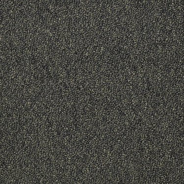 Capital Iii Bl Commercial Carpet by Philadelphia Commercial in the color Official Office. Sample of greens carpet pattern and texture.
