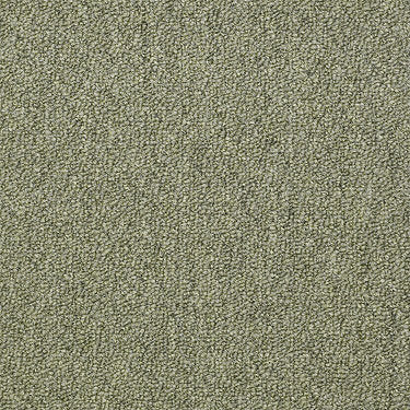 Capital Iii Bl Commercial Carpet by Philadelphia Commercial in the color Distinguished. Sample of greens carpet pattern and texture.
