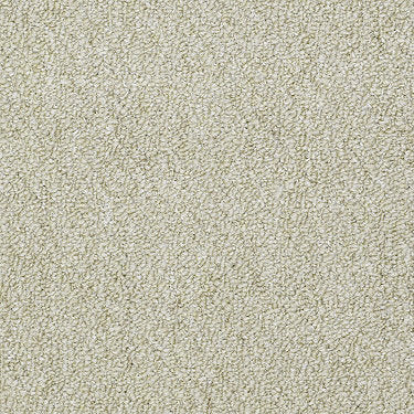 Capital Iii Bl Commercial Carpet by Philadelphia Commercial in the color Influential. Sample of greens carpet pattern and texture.