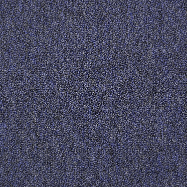 Capital Iii Bl Commercial Carpet by Philadelphia Commercial in the color Executor. Sample of blues carpet pattern and texture.