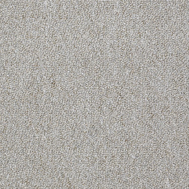 Capital Iii Bl Commercial Carpet by Philadelphia Commercial in the color Power Play. Sample of grays carpet pattern and texture.