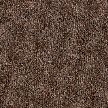 Capital Iii Bl Commercial Carpet by Philadelphia Commercial in the color Land Slide. Sample of oranges carpet pattern and texture.