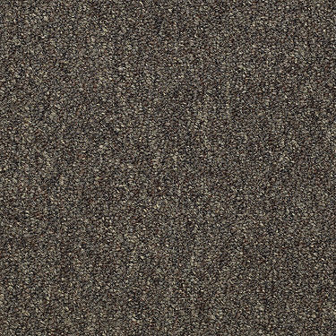 Capital Iii Bl Commercial Carpet by Philadelphia Commercial in the color Eminence. Sample of browns carpet pattern and texture.