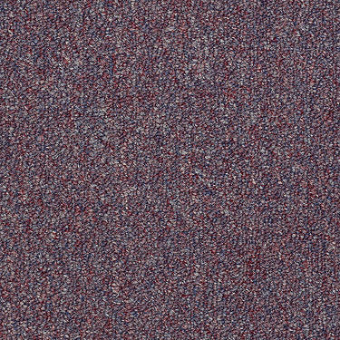Capital Iii Bl Commercial Carpet by Philadelphia Commercial in the color Stars And Stripes. Sample of reds carpet pattern and texture.