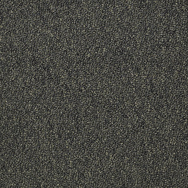 Capital Iii Unitary Commercial Carpet by Philadelphia Commercial in the color Official Office. Sample of greens carpet pattern and texture.