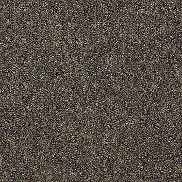 Capital Iii Unitary Commercial Carpet by Philadelphia Commercial in the color Eminence. Sample of browns carpet pattern and texture.