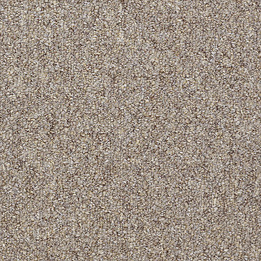 Capital Iii Unitary Commercial Carpet by Philadelphia Commercial in the color Justice. Sample of browns carpet pattern and texture.