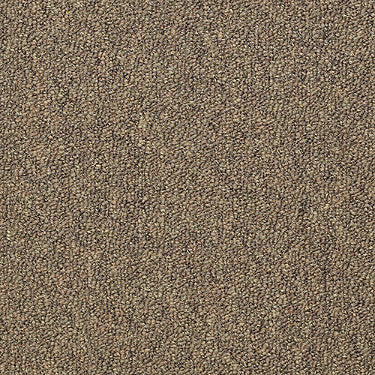 Capital Iii 18 Sc Commercial Carpet by Philadelphia Commercial in the color Election. Sample of golds carpet pattern and texture.