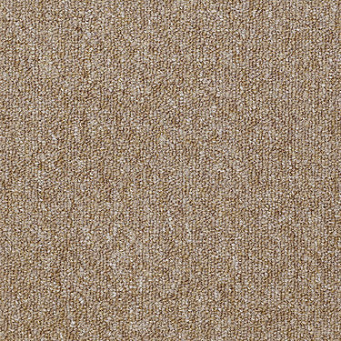 Capital Iii 18 Sc Commercial Carpet by Philadelphia Commercial in the color Majority. Sample of golds carpet pattern and texture.
