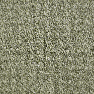 Capital Iii 18 Sc Commercial Carpet by Philadelphia Commercial in the color Distinguished. Sample of greens carpet pattern and texture.