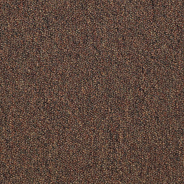 Capital Iii 18 Sc Commercial Carpet by Philadelphia Commercial in the color Land Slide. Sample of oranges carpet pattern and texture.