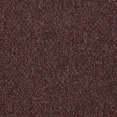 Capital Iii 18 Sc Commercial Carpet by Philadelphia Commercial in the color Court House. Sample of browns carpet pattern and texture.