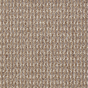 Mill Classic Commercial Carpet by Philadelphia Commercial in the color Canoe. Sample of golds carpet pattern and texture.