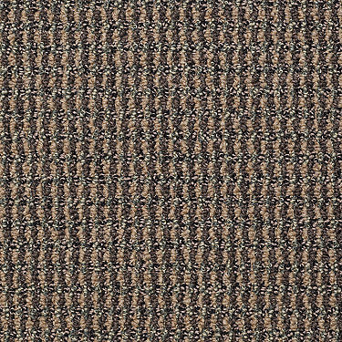 Mill Classic Commercial Carpet by Philadelphia Commercial in the color Lumber Jack. Sample of browns carpet pattern and texture.