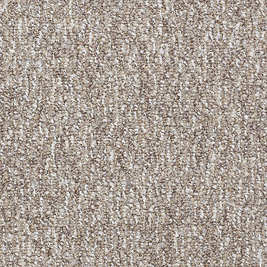 Direct Link Commercial Carpet by Philadelphia Commercial in the color Hand Deliver. Sample of browns carpet pattern and texture.